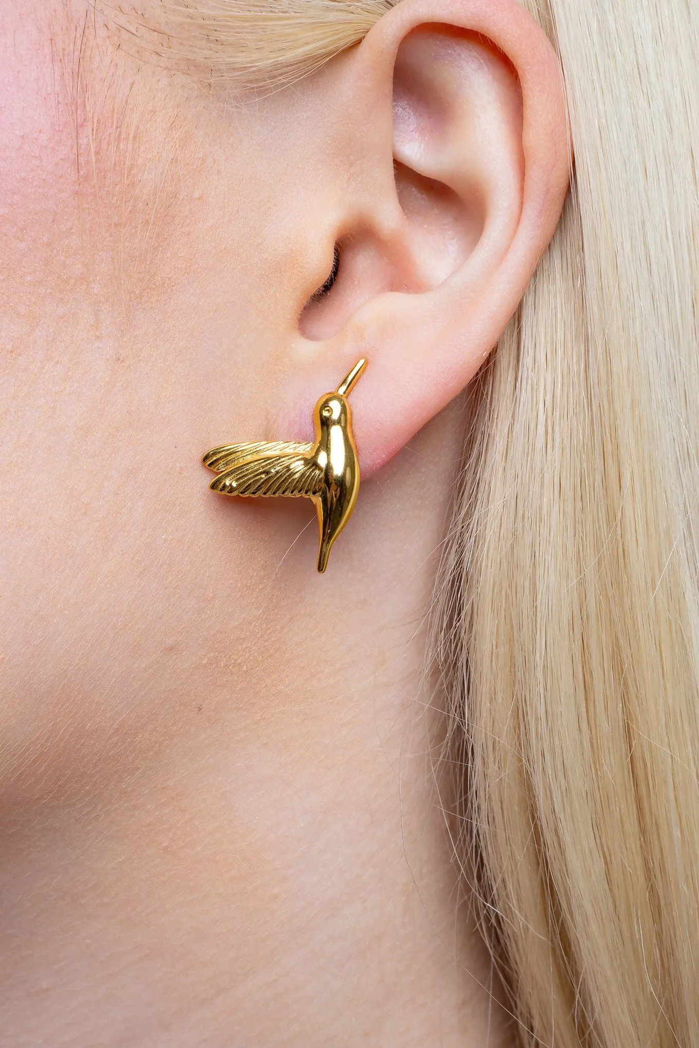 Hummingbird Stud Earrings