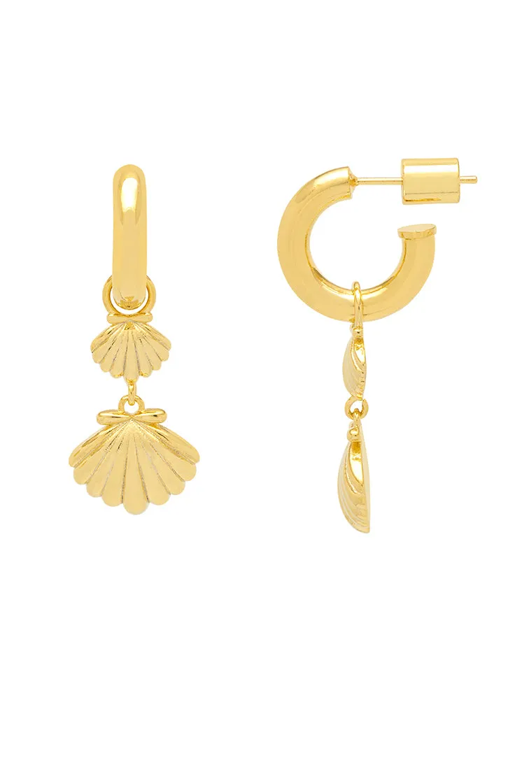 Shell Drop Hoops