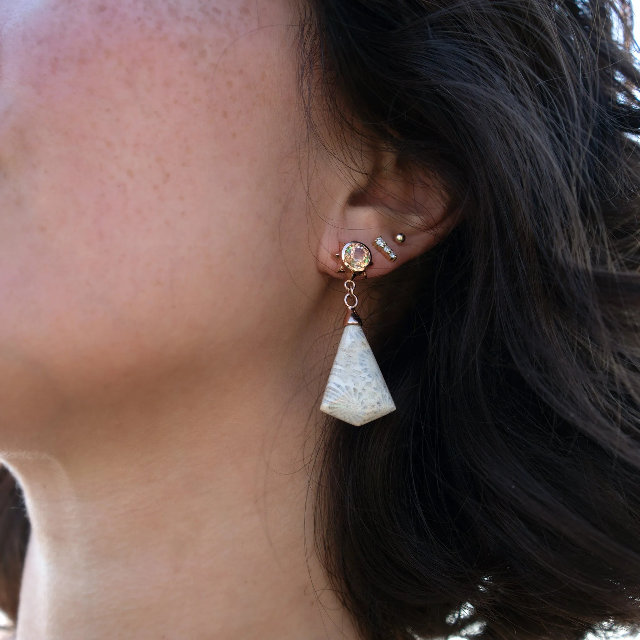 Special Edition "Star Dust" Petrified Coral Drop Earrings with Autumn Tourmaline